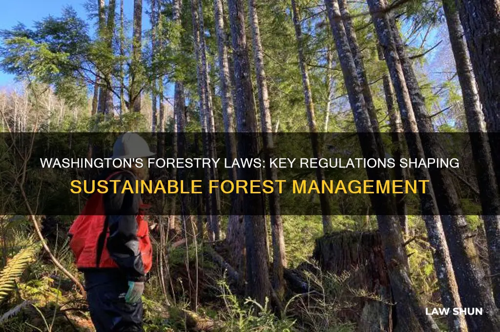 what laws were put in place for forestry in washington