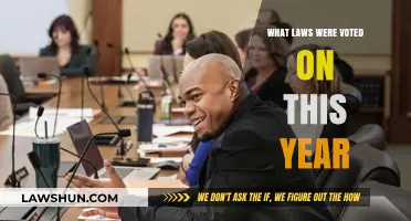Key Legislative Decisions: Laws Voted on This Year Explained