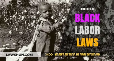 Historical Roots and Societal Forces Behind Black Labor Laws