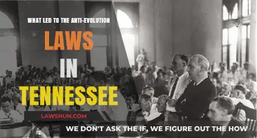 Tennessee's Anti-Evolution Laws: Unraveling the Roots of the Scopes Trial
