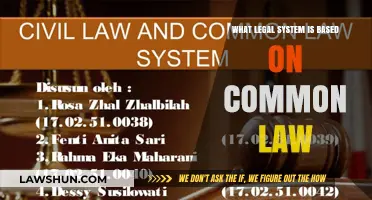 Common Law System: Understanding Its Roots and Influence