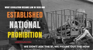 The 1920 Volstead Act: Establishing National Prohibition in America