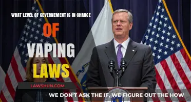 Who Regulates Vaping? Understanding Government Levels Behind E-Cigarette Laws