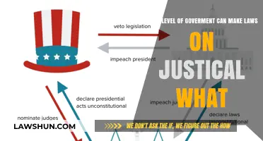 Which Level of Government Holds the Power to Legislate?