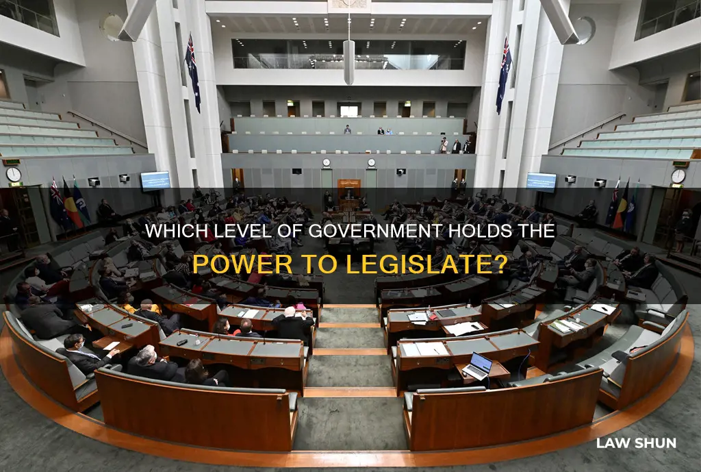 what level of goverment can make laws on justical what