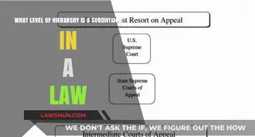 Understanding Legal Hierarchy: Where Subdivisions Fit in the Law