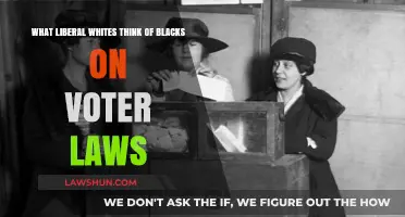 Liberal Whites' Views on Black Voters and Election Laws