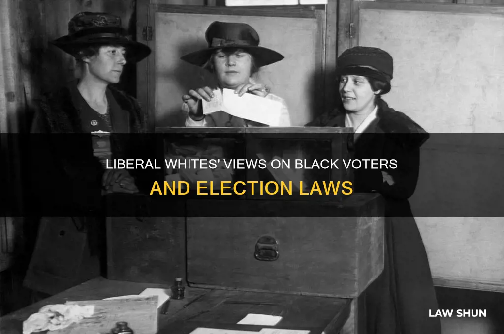what liberal whites think of blacks on voter laws