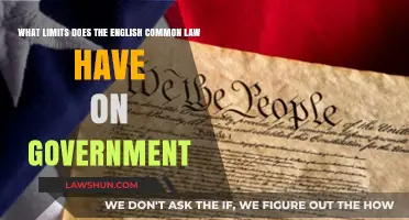 Limits of Common Law: Checks on Government Power
