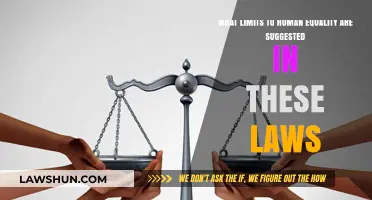 Legal Boundaries: Exploring Constraints on Human Equality in Modern Laws