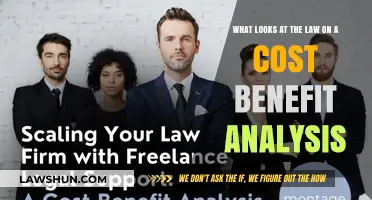 Cost-Benefit Analysis: Navigating Legal Frameworks and Economic Implications