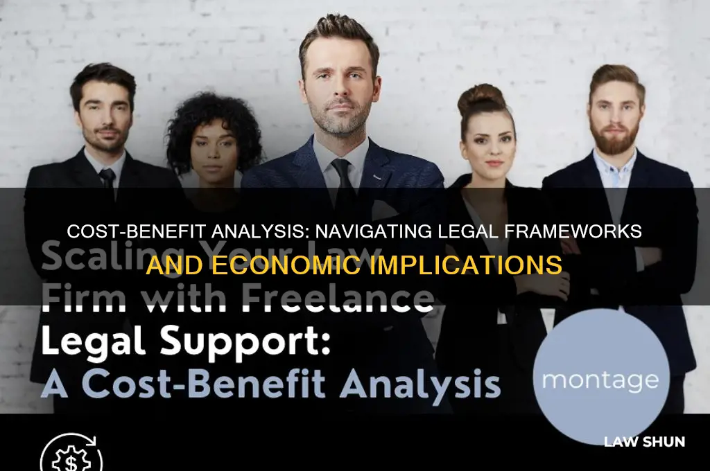 what looks at the law on a cost benefit analysis