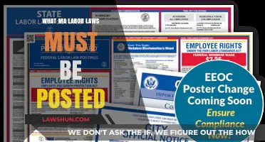 Essential Massachusetts Labor Law Postings Every Employer Must Display