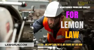 Lemon Law Coverage: Maintenance Issues That Warrant Legal Protection