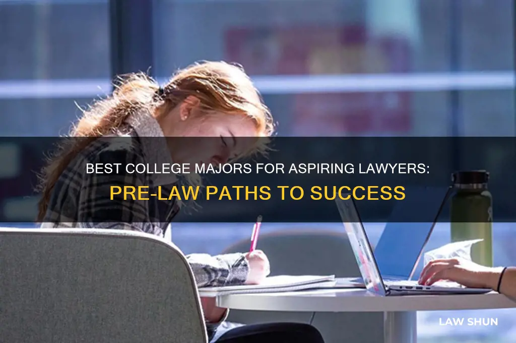 what majors do you need to go into law