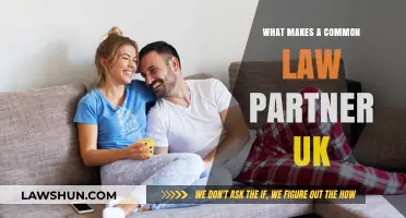Common-Law Partners: UK Rights and Recognition