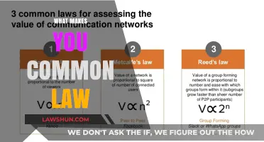 Understanding Common Law: The Requirements for a Legal Union