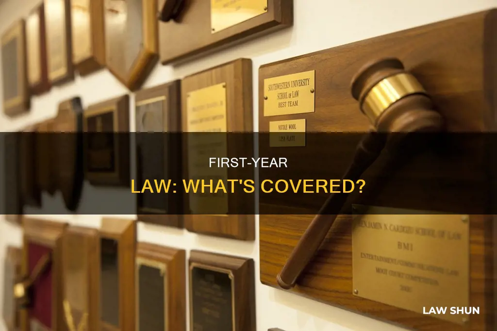 what material do first year law students leanr