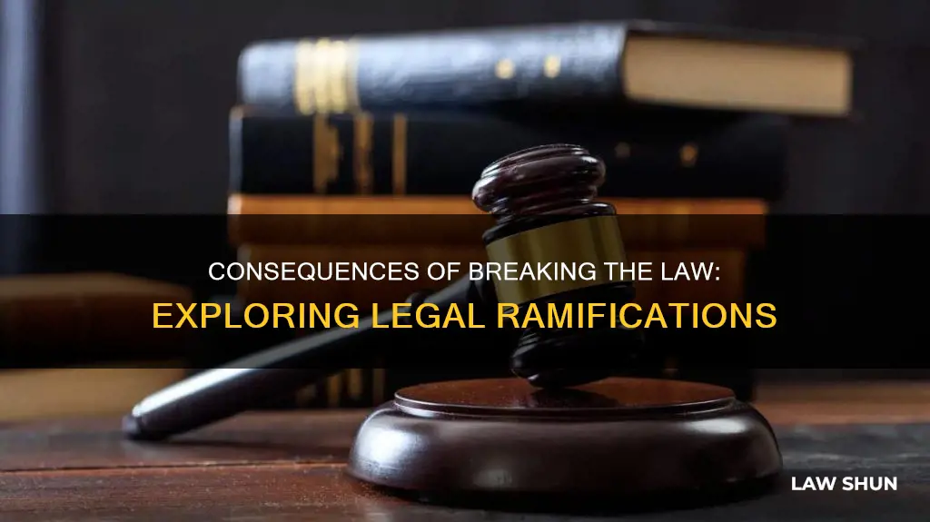what may happen a person breaks a law