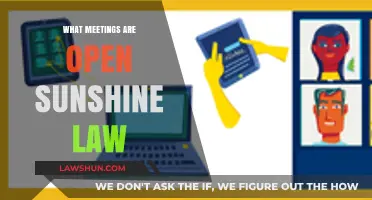 Sunshine Law Explained: Which Meetings Must Be Open to the Public?