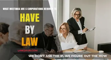 Legal Meeting Requirements for S Corporations: What You Need to Know