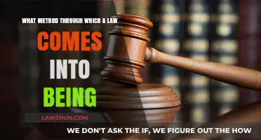 The Legislative Journey: How Laws Are Created and Enacted