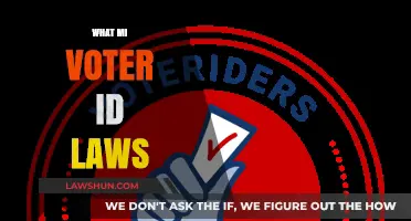 Understanding Michigan Voter ID Laws: Requirements, Changes, and Impact
