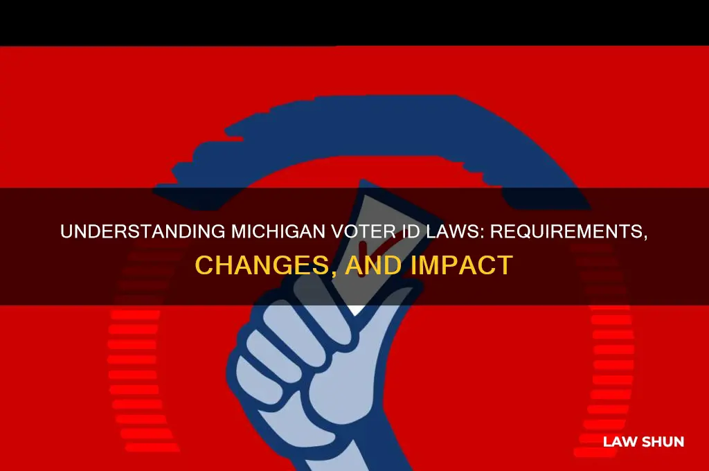 what mi voter id laws