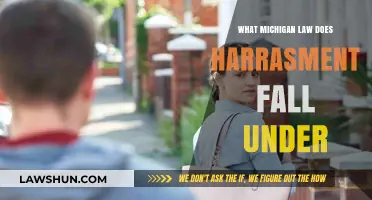 Understanding Michigan's Legal Framework for Harassment: Key Statutes Explained