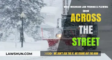 Michigan Law: Prohibiting Snow Plowing Across Streets – What You Need to Know