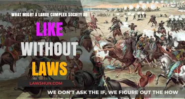 Lawless Societies: Exploring the Dynamics of Unregulated Complex Civilizations