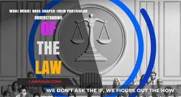 Influences Shaping Legal Perspectives: Unraveling the Factors Behind Their Understanding