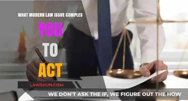 Modern Legal Challenges: Urgent Issues Demanding Immediate Action and Awareness