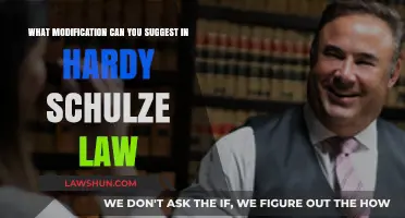 Hardy-Schulze Law: Suggested Modifications and Their Impact