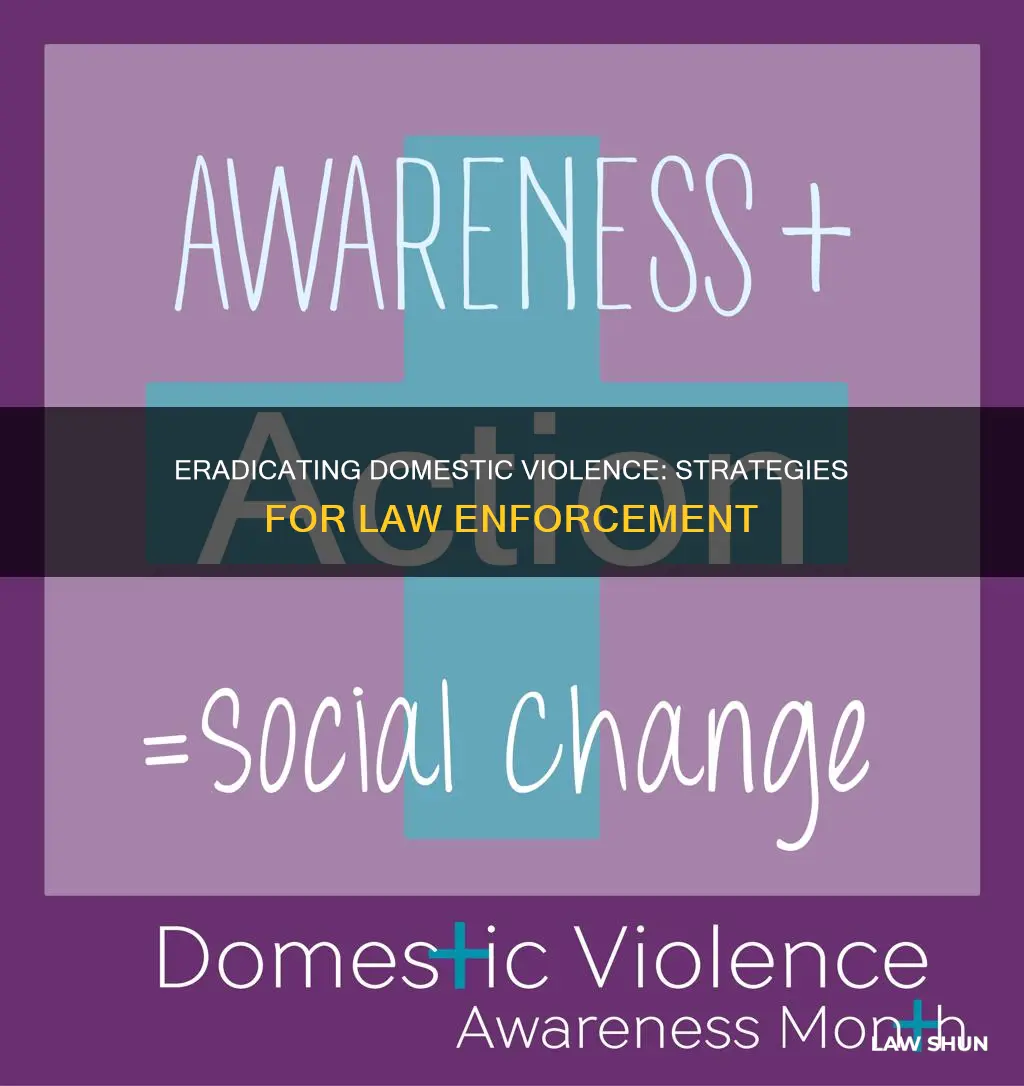what more can law enforcement do to prevent domestic violence