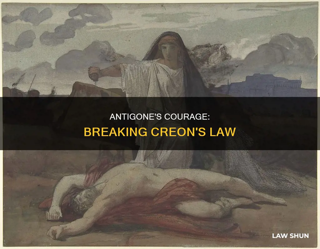 what motivates antigone to break creon