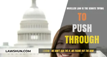 Senate's Push for Mueller Law: What It Means for America
