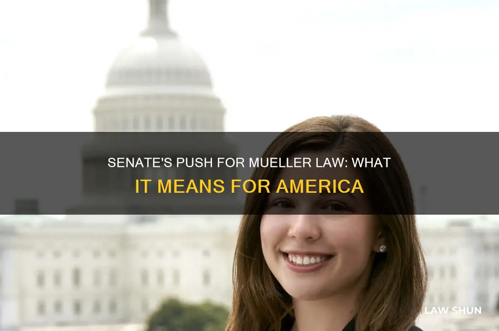 what mueller law is the senate trying to push through