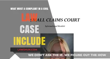 Civil Law Complaints: What to Include