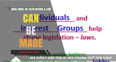Understanding the Process of Lawmaking