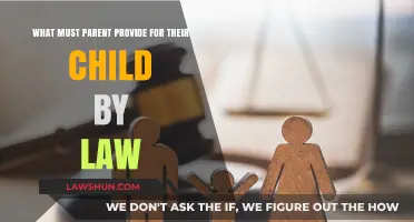 Legal Responsibilities: Essential Parental Provisions for Children's Well-being
