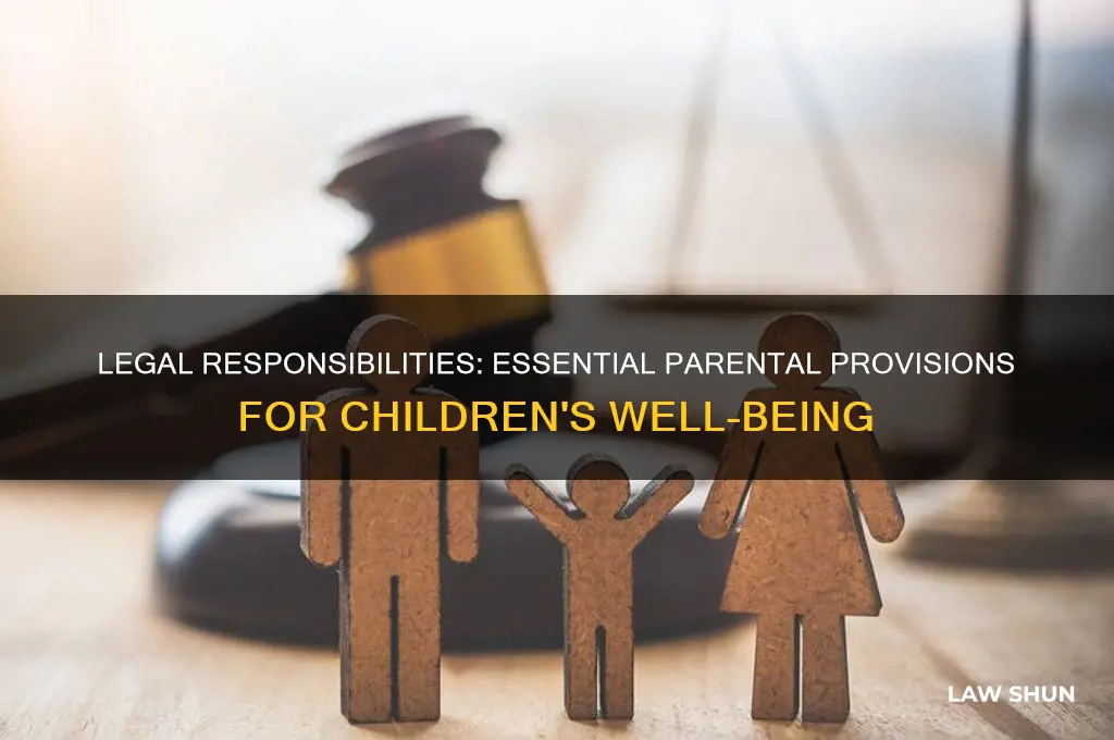what must parent provide for their child by law