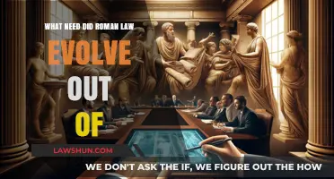 The Evolution of Roman Law: Addressing Ancient Societal Needs