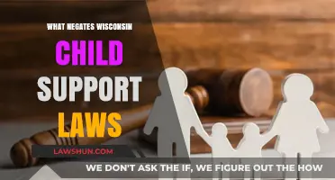 Understanding Factors That Negate Wisconsin Child Support Laws: Key Insights