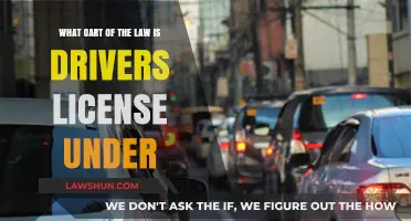 Driver's Licenses: What Area of Law?