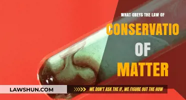 Understanding the Law of Conservation of Matter: What Obeys It?