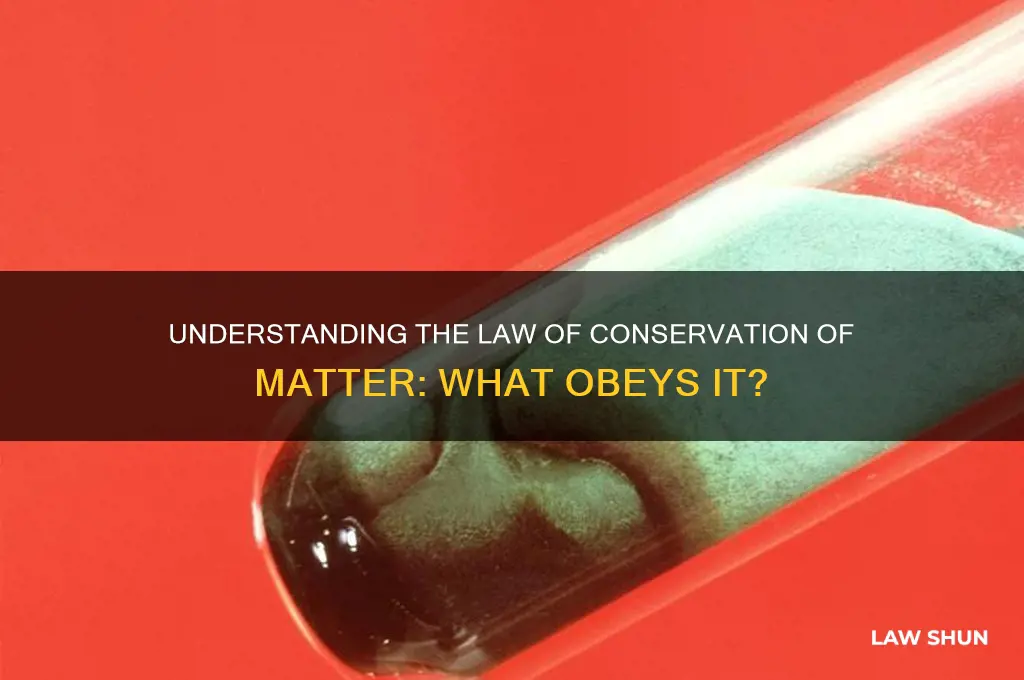 what obeys the law of conservation of matter