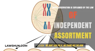 Understanding Genetic Diversity: The Law of Independent Assortment Explained