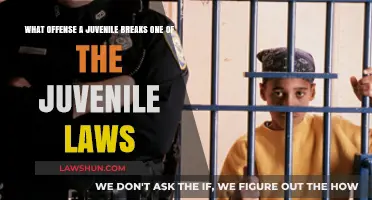 Understanding Juvenile Offenses: Navigating the Legal Landscape