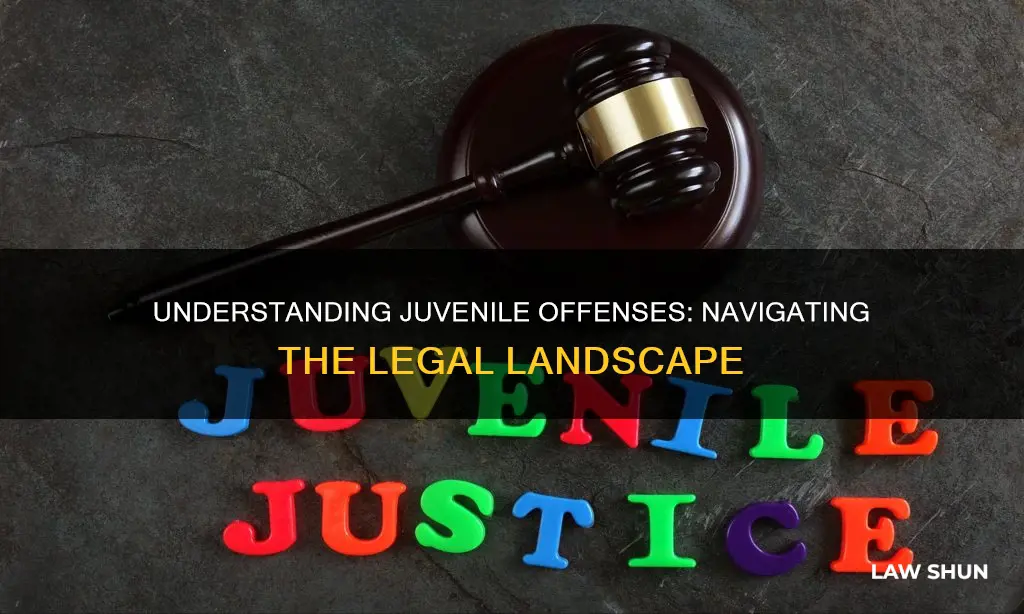 what offense a juvenile breaks one of the juvenile laws